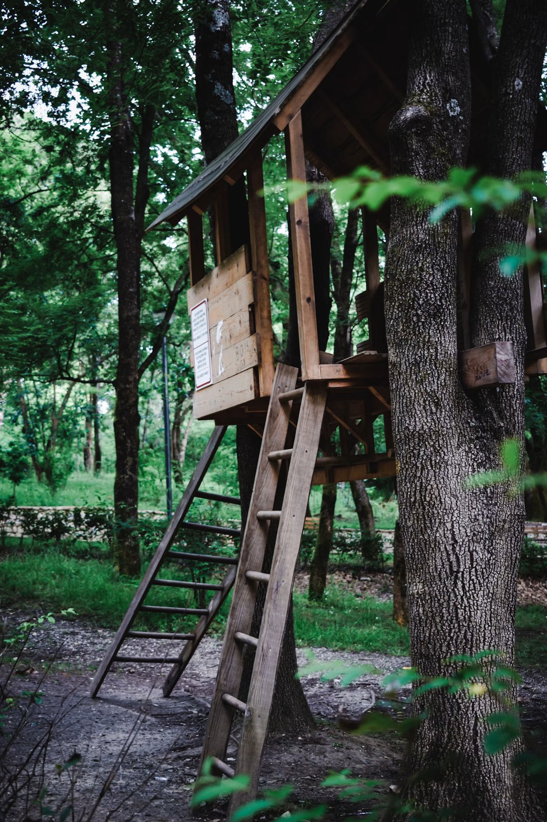 An empty wooden treehouse in the woods